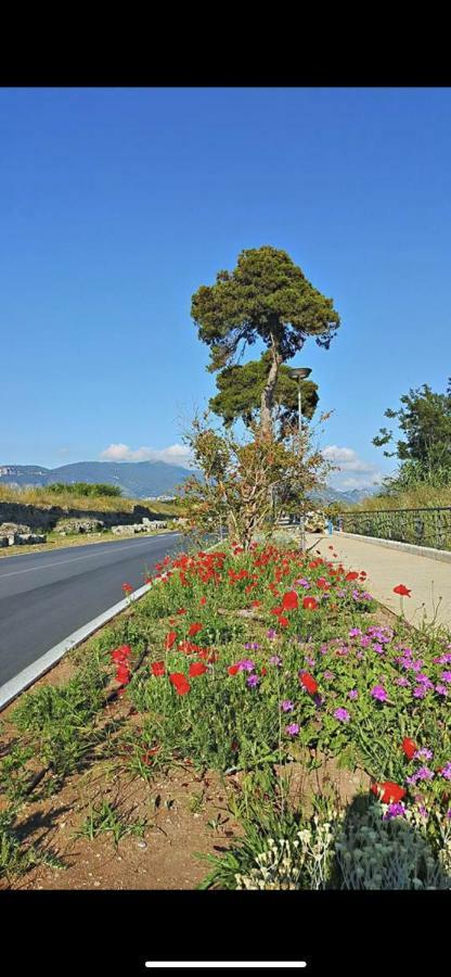 Villa Donatella เพสตุม ภายนอก รูปภาพ